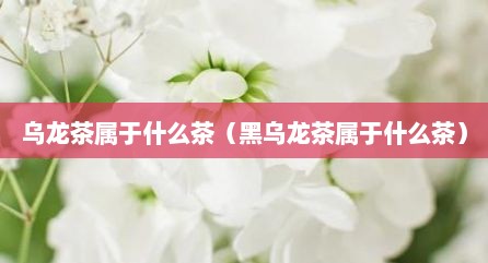 乌龙茶属于什么茶（黑乌龙茶属于什么茶）