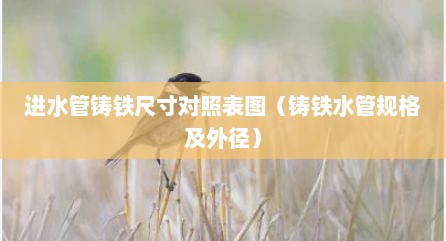 进水管铸铁尺寸对照表图（铸铁水管规格及外径）