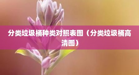 分类垃圾桶种类对照表图（分类垃圾桶高清图）