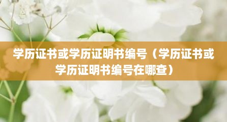 学历证书或学历证明书编号（学历证书或学历证明书编号在哪查）