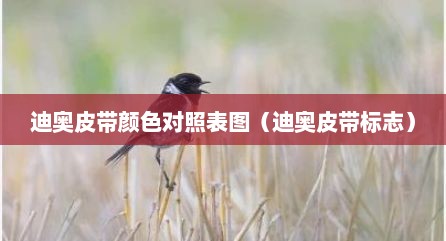 迪奥皮带颜色对照表图（迪奥皮带标志）