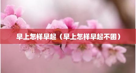 早上怎样早起（早上怎样早起不困）
