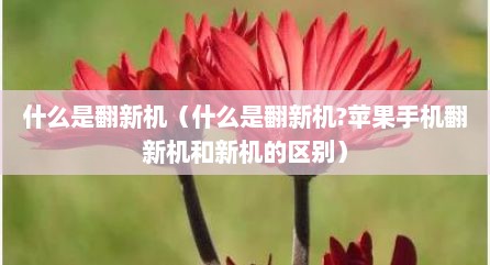 什么是翻新机（什么是翻新机?苹果手机翻新机和新机的区别）