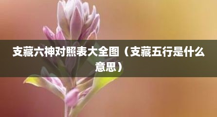 支藏六神对照表大全图（支藏五行是什么意思）