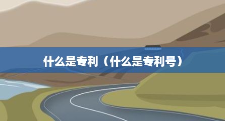 什么是专利（什么是专利号）
