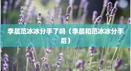 李晨范冰冰分手予吗（李晨和范冰冰分手后）