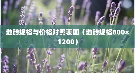 地砖规格与价格对照表图（地砖规格800×1200）