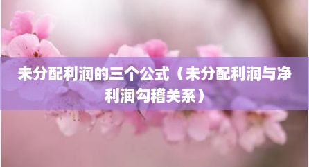 未分配利润的三个公式（未分配利润与净利润勾稽关系）