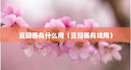 豆瓣酱有什么用（豆瓣酱有啥用）