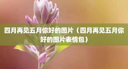 四月再见五月你好的图片（四月再见五月你好的图片表情包）