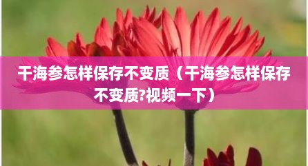 干海参怎样保存不变质（干海参怎样保存不变质?视频一下）