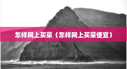 怎样网上买菜（怎样网上买菜便宜）