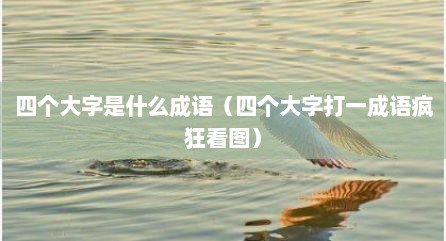四个大字是什么成语（四个大字打一成语疯狂看图）