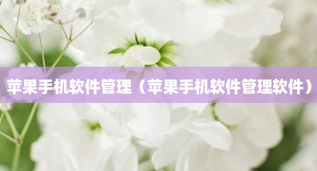 苹果手机软件管理（苹果手机软件管理软件）