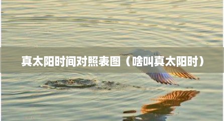 真太阳时间对照表图（啥叫真太阳时）
