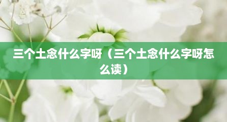 三个土念什么字呀（三个土念什么字呀怎么读）