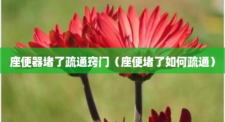 座便器堵了疏通窍门（座便堵了如何疏通）