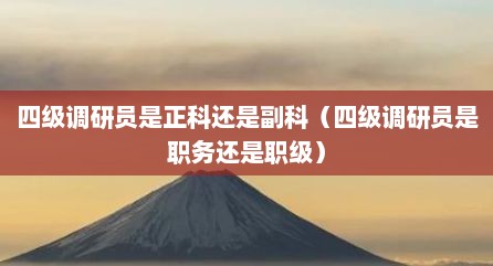 四级调研员是正科还是副科（四级调研员是职务还是职级）