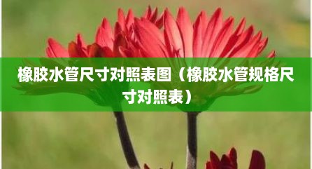 橡胶水管尺寸对照表图（橡胶水管规格尺寸对照表）