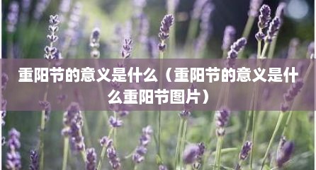 重阳节的意义是什么（重阳节的意义是什么重阳节图片）