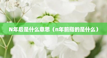 N年后是什么意思（n年前指的是什么）