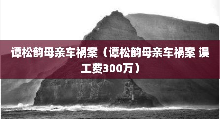 谭松韵母亲车祸案（谭松韵母亲车祸案 误工费300万）