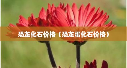 恐龙化石价格（恐龙蛋化石价格）