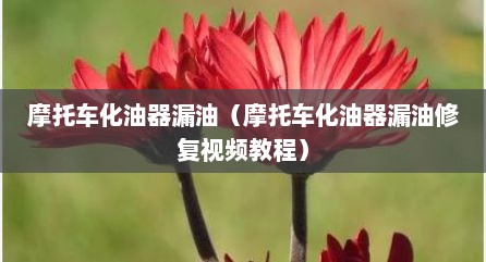 摩托车化油器漏油（摩托车化油器漏油修复视频教程）