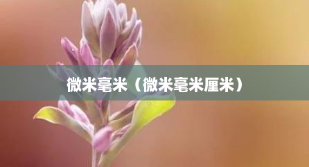 微米毫米（微米毫米厘米）