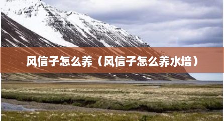 风信子怎么养（风信子怎么养水培）