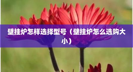 壁挂炉怎样选择型号（壁挂炉怎么选购大小）