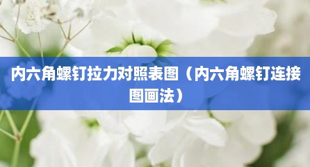 内六角螺钉拉力对照表图（内六角螺钉连接图画法）