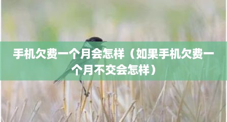 手机欠费一个月会怎样（如果手机欠费一个月不交会怎样）