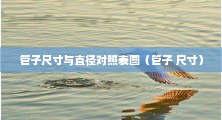 管子尺寸与直径对照表图（管子 尺寸）