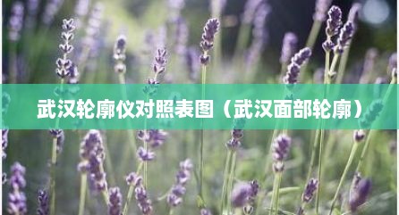 武汉轮廓仪对照表图（武汉面部轮廓）
