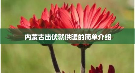 内蒙古出伏就供暖的简单介绍