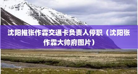 沈阳推张作霖交通卡负责人停职（沈阳张作霖大帅府图片）