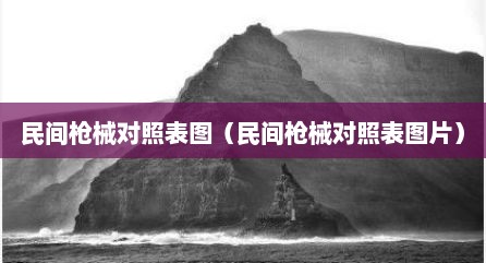 民间枪械对照表图（民间枪械对照表图片）