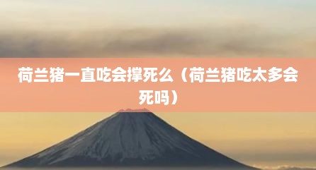 荷兰猪一直吃会撑死么（荷兰猪吃太多会死吗）