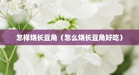 怎样烧长豆角（怎么烧长豆角好吃）