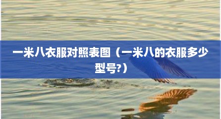 一米八衣服对照表图（一米八的衣服多少型号?）