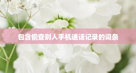 包含偷查别人手机通话记录的词条