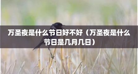 万圣夜是什么节日好不好（万圣夜是什么节日是几月几日）