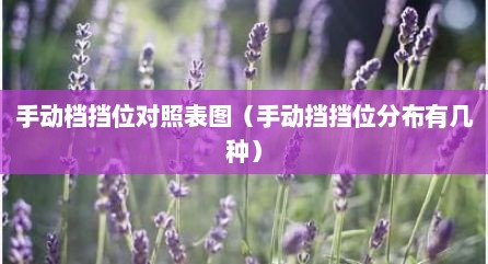 手动档挡位对照表图（手动挡挡位分布有几种）