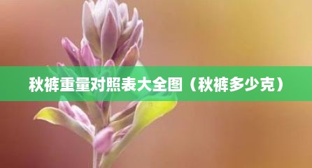 秋裤重量对照表大全图（秋裤多少克）