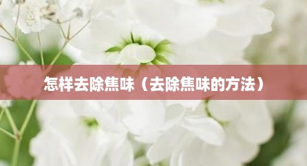 怎样去除焦味（去除焦味的方法）