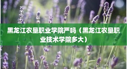 黑龙江农垦职业学院严吗（黑龙江农垦职业技术学院多大）
