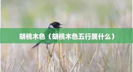 胡桃木色（胡桃木色五行属什么）