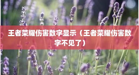 王者荣耀伤害数字显示（王者荣耀伤害数字不见了）