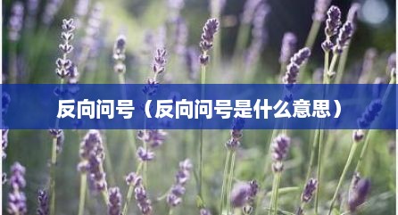 反向问号（反向问号是什么意思）